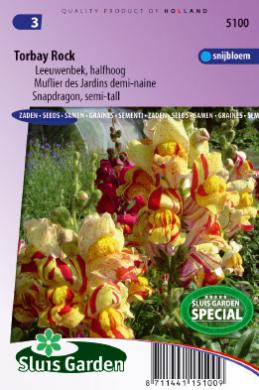 Antirrhinum majus (Papuľka) nanum Torbay Rock 0,15 g cca 1200 semien